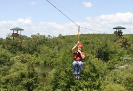 Screamin' Gator Zipline travels over attraction's reptiles, breeding marsh